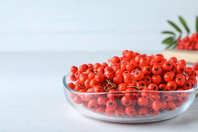 Photo of Fresh ripe rowan berries in glass bowl on white wooden table, space for text