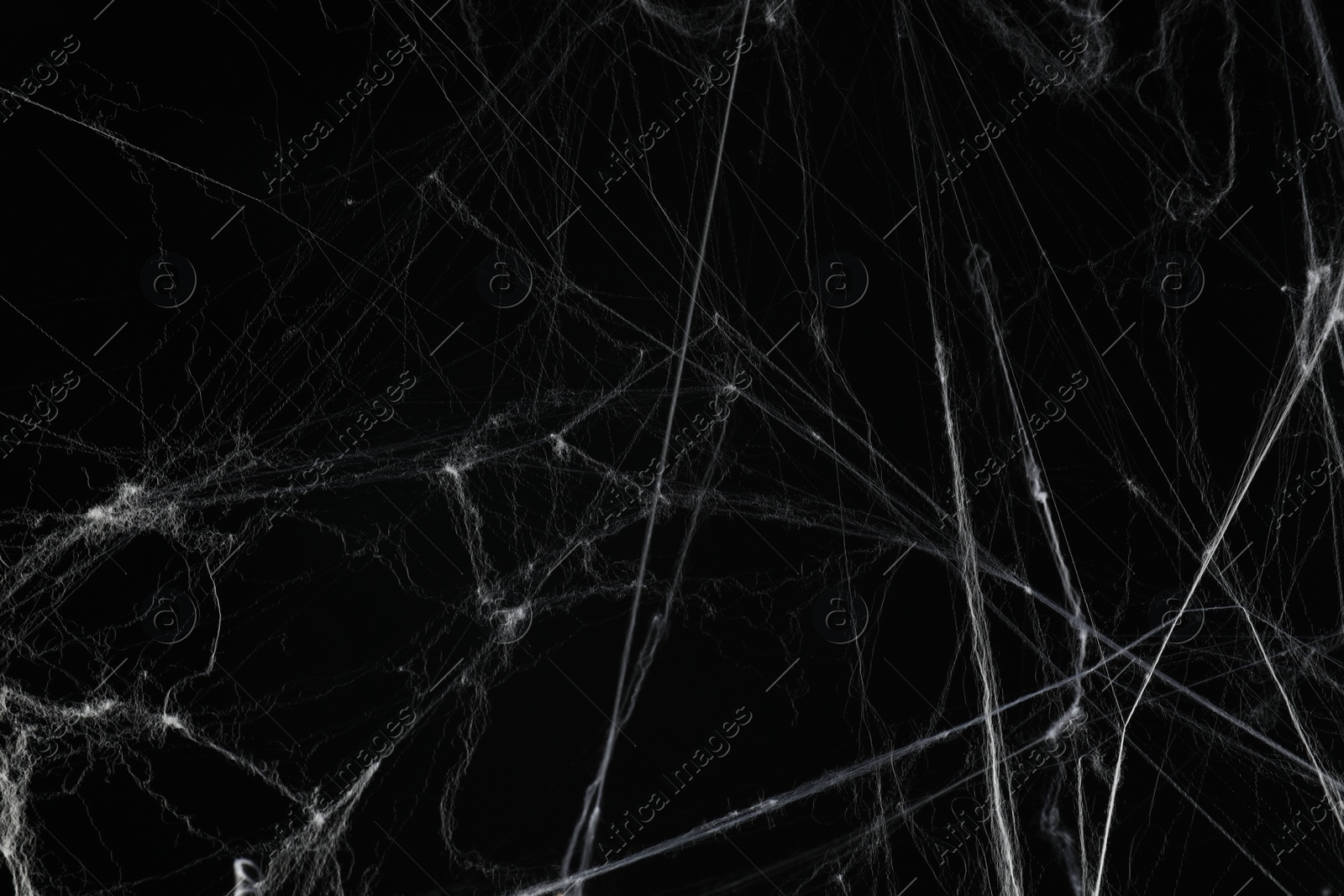 Photo of Creepy white spider web on black background