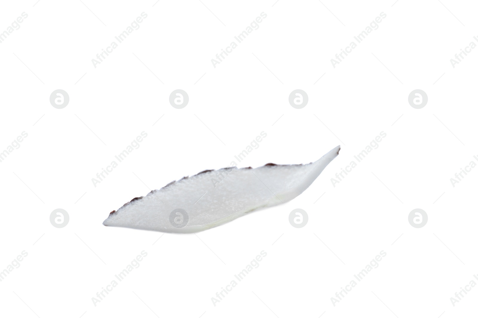 Photo of Tasty fresh coconut flake isolated on white