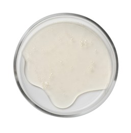 Petri dish with liquid sample on white background, top view