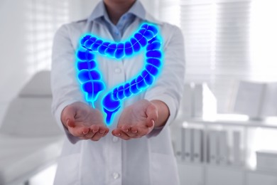 Image of Gastroenterologist holding illustration of large intestine in clinic, closeup