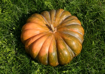 Photo of Ripe pumpkin on green grass, above view. Autumn harvest