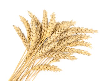 Bunch of wheat on white background, top view