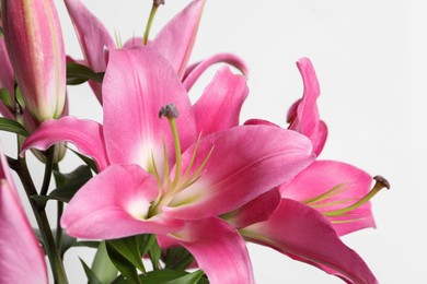 Photo of Beautiful pink lily flowers on white background, closeup