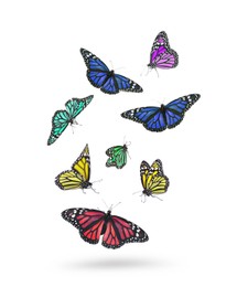 Image of Many beautiful colorful butterflies flying on white background