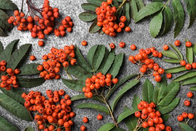 Fresh ripe rowan berries and green leaves on grey table, flat lay