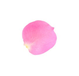 Photo of One pink rose petal isolated on white