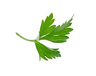 Photo of Aromatic fresh green parsley on white background