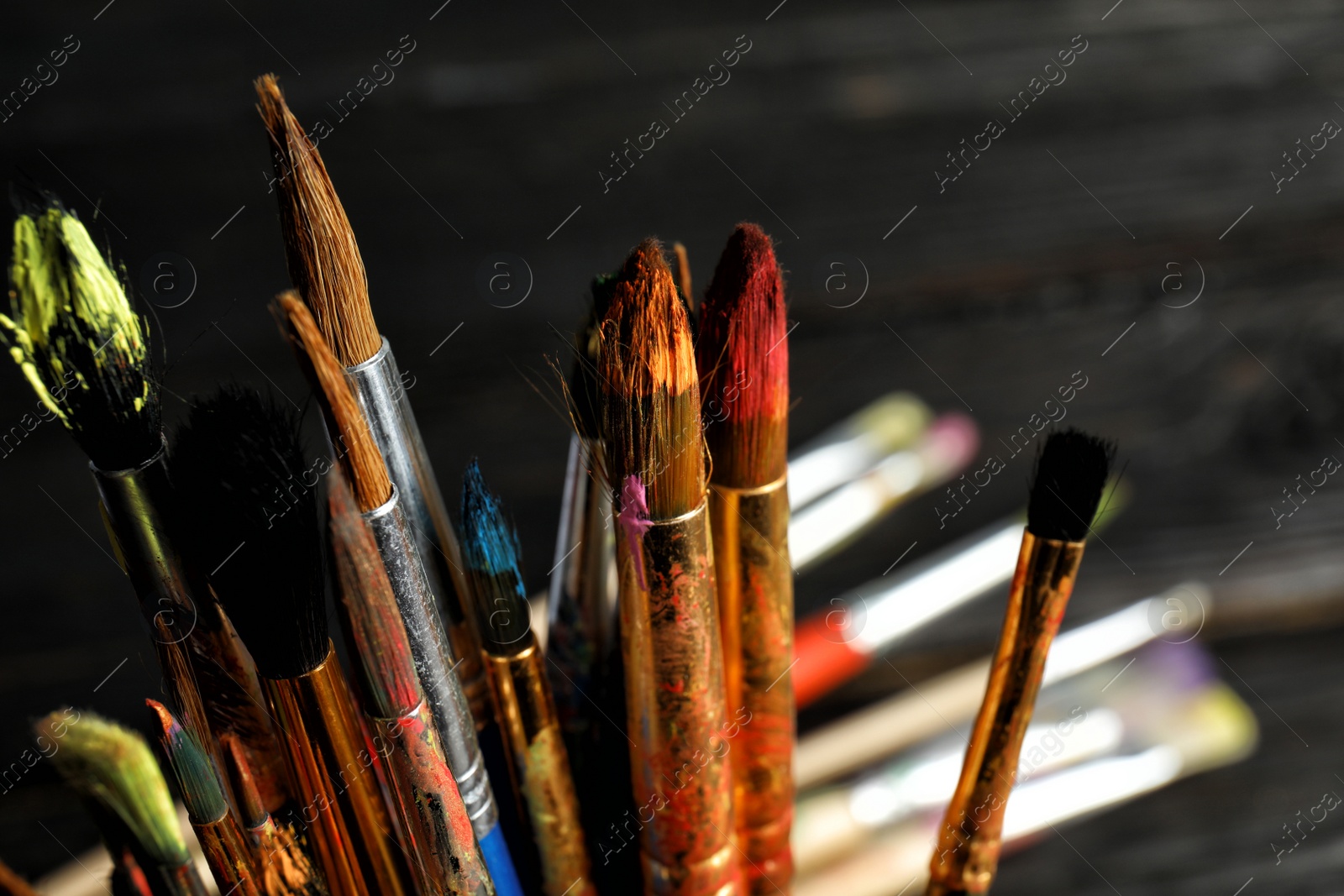 Photo of Different paint brushes on dark blurred background, closeup