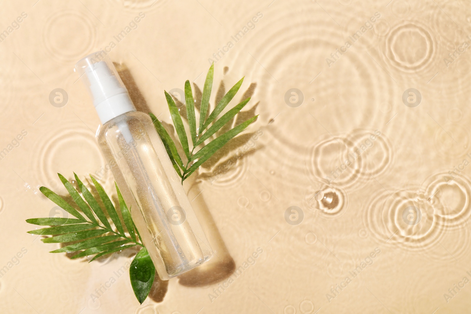 Photo of Wet bottle of micellar water and green twigs on beige background, flat lay. Space for text