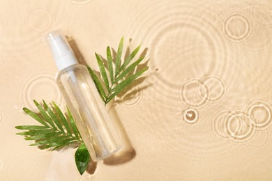 Wet bottle of micellar water and green twigs on beige background, flat lay. Space for text