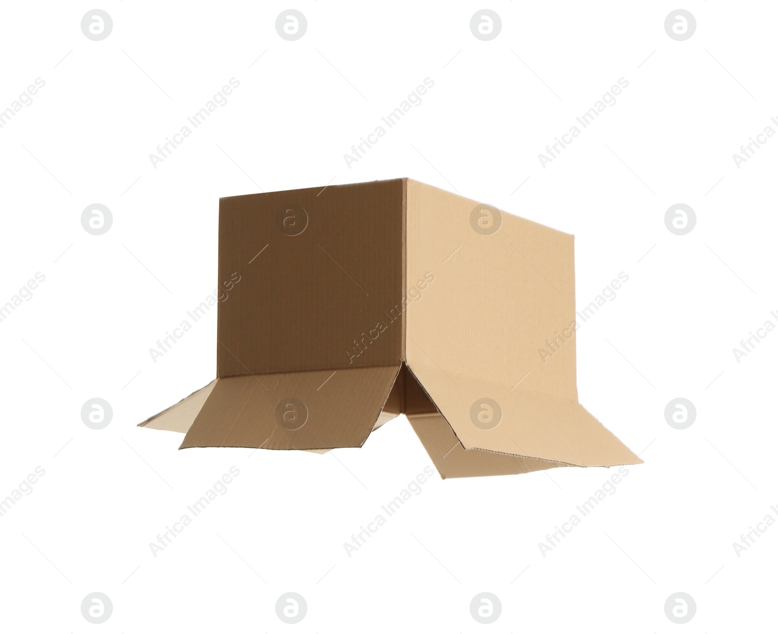 Photo of Open empty cardboard box isolated on white