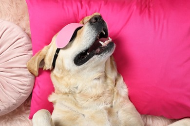 Photo of Cute Labrador Retriever with sleep mask resting on pink pillow, top view