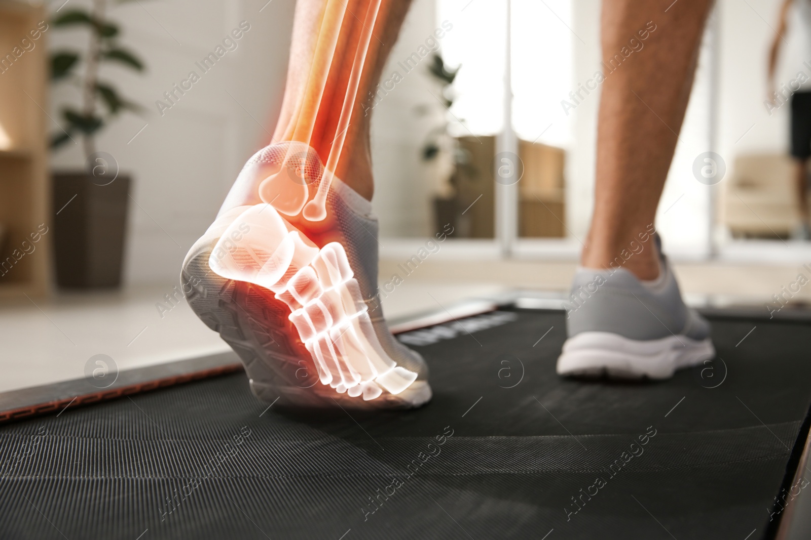 Image of Digital composite of highlighted bones and man training on walking treadmill at home, closeup