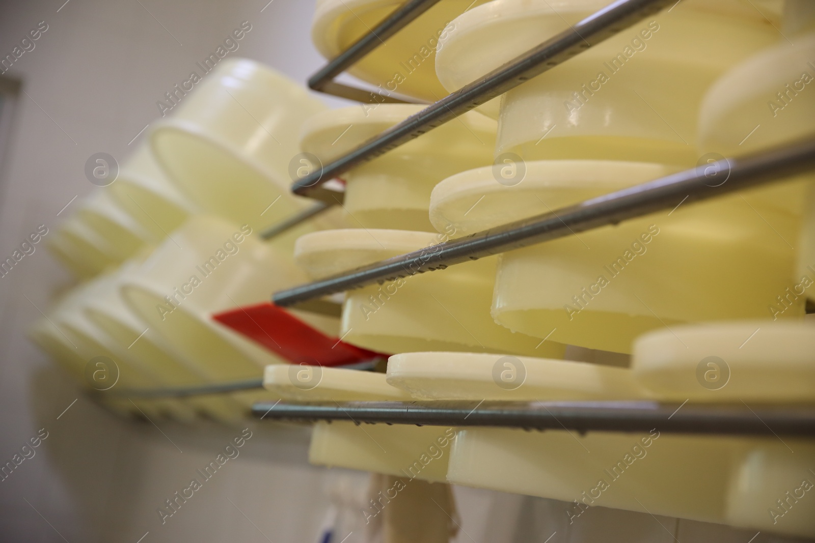 Photo of Clean cheese moulds on rack at dairy factory, closeup