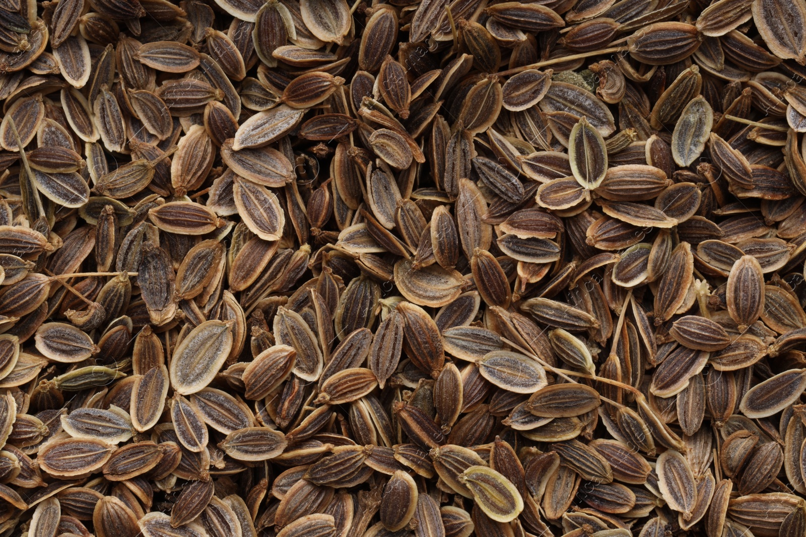 Photo of Many dry dill seeds as background, top view