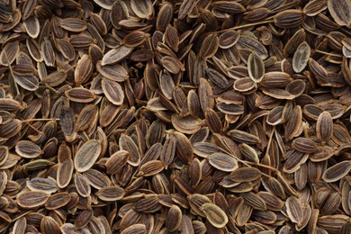 Many dry dill seeds as background, top view
