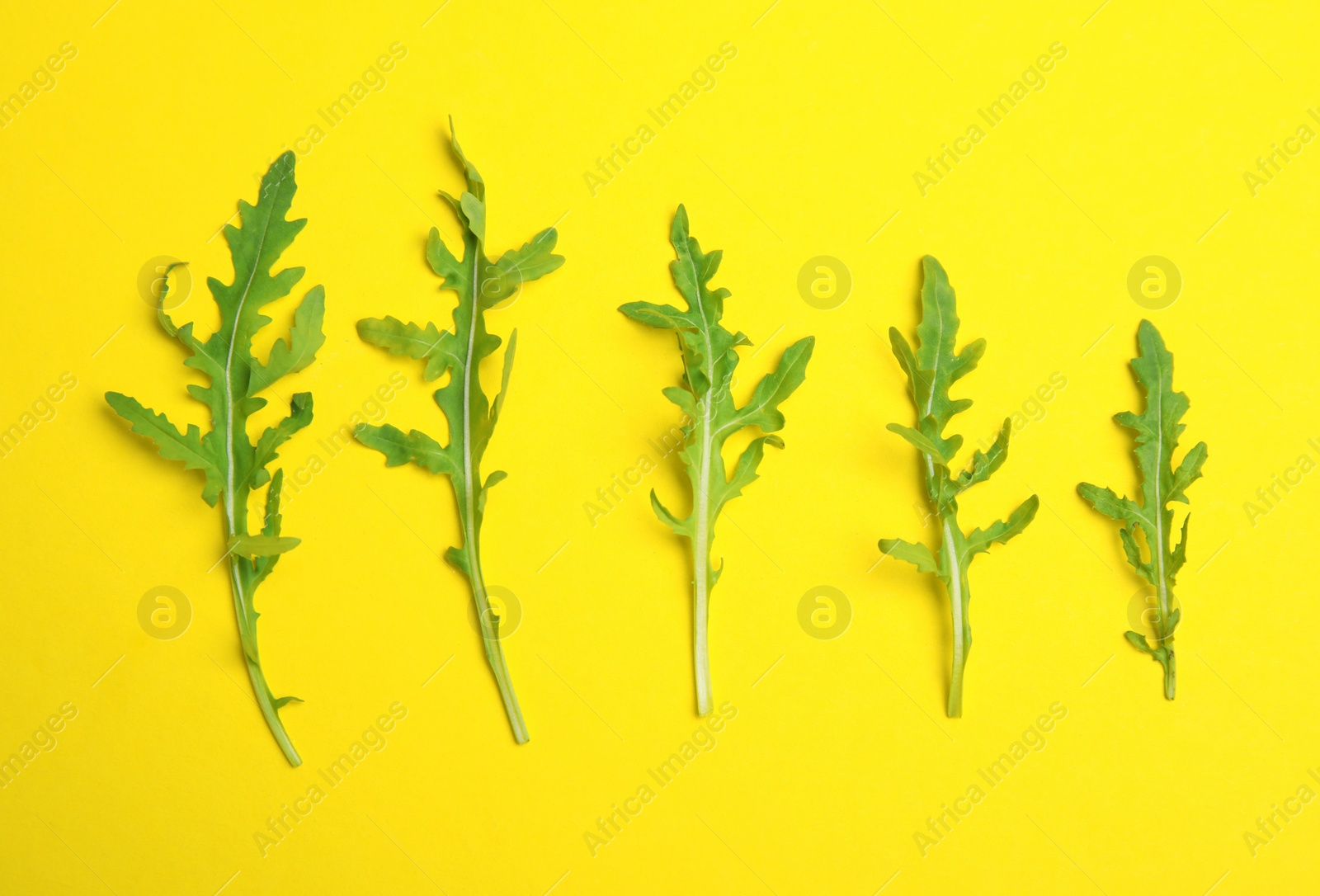 Photo of Fresh arugula on yellow background, flat lay