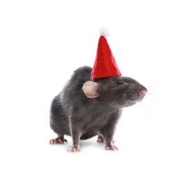 Photo of Cute little rat in Santa hat on white background. Chinese New Year symbol