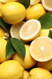 Many fresh ripe lemons with green leaves as background, closeup