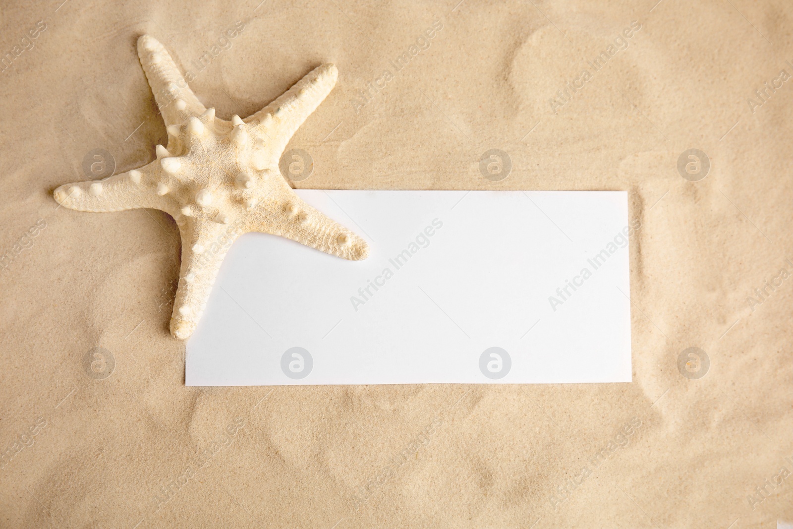 Photo of Beautiful starfish and blank card on sand, top view. Space for text