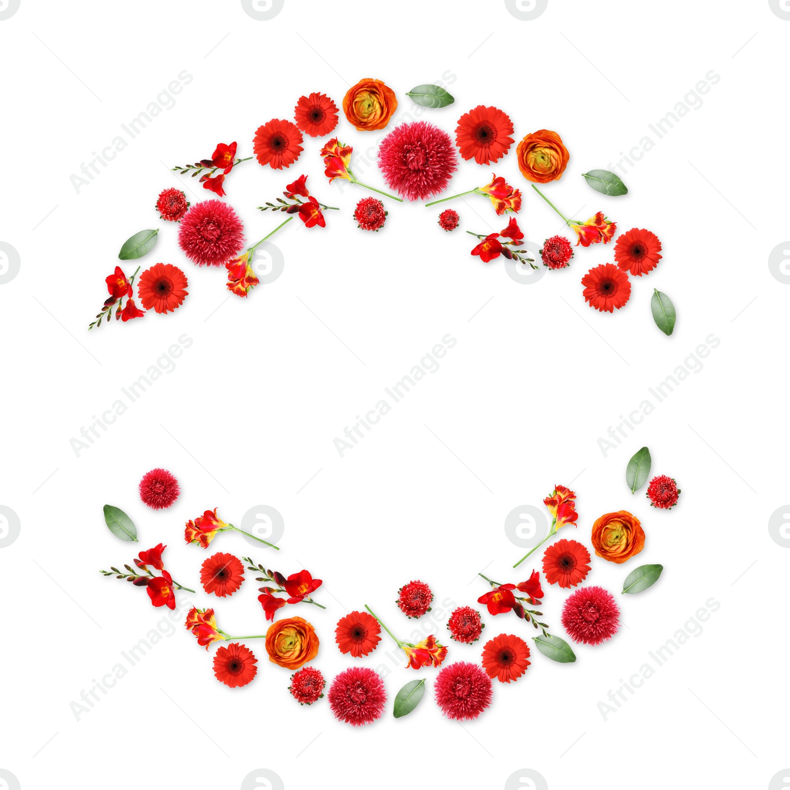 Image of Wreaths made of beautiful flowers on white background