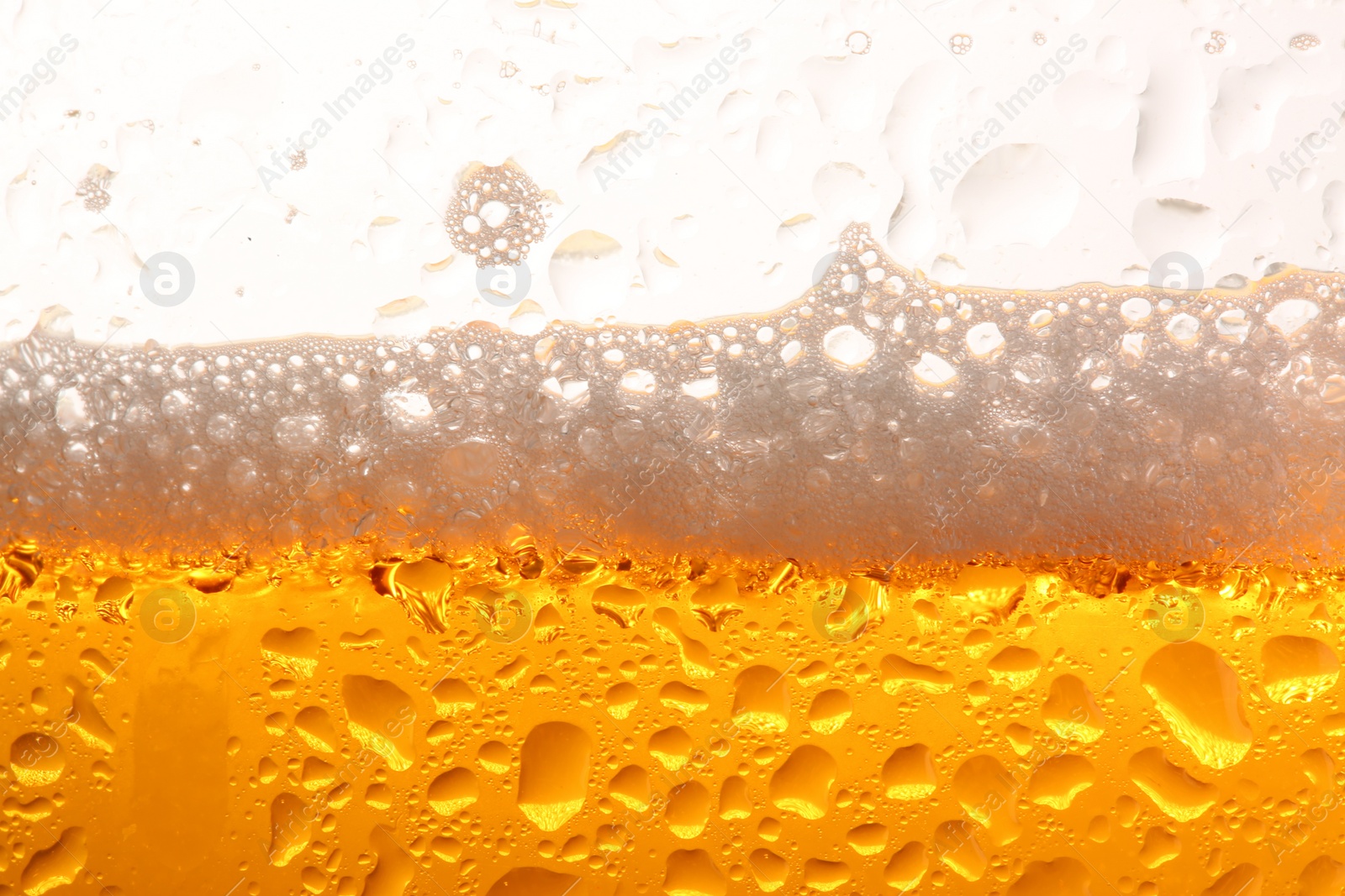 Photo of Glass of tasty cold beer with foam and condensation drops on white background, closeup