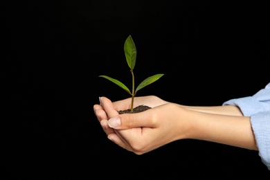Woman holding soil with green plant in hands on black background