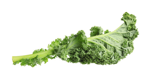 Photo of Fresh green kale leaf isolated on white