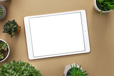 Photo of Modern tablet and houseplants on light brown background, flat lay. Space for text