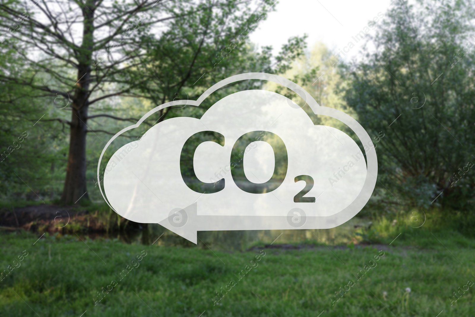 Image of Concept of clear air. CO2 inscription in illustration of cloud with arrow and beautiful park