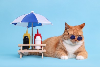 Cute ginger cat in stylish sunglasses and mini picnic table with umbrella on light blue background