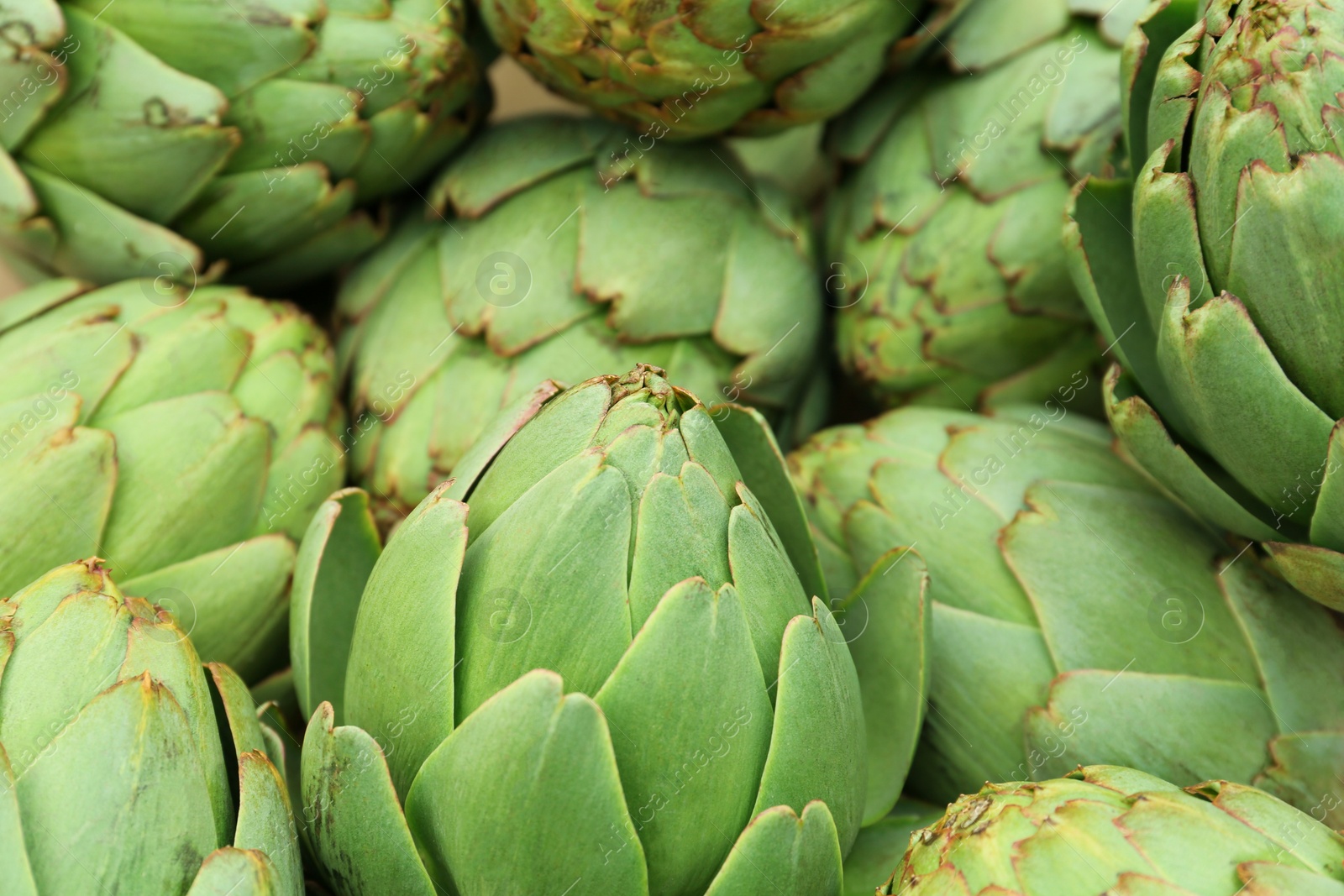 Photo of Many fresh raw artichokes as background, closeup