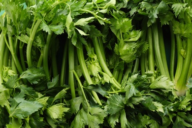 Photo of Fresh green celery as background, closeup view