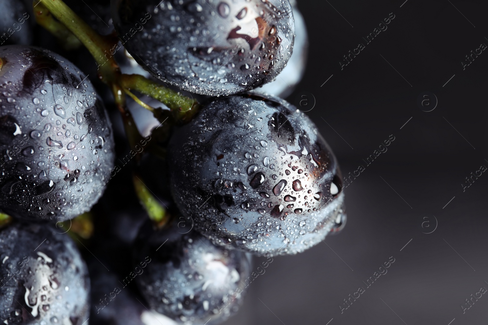 Photo of Bunch of fresh ripe juicy grapes as background. Closeup view