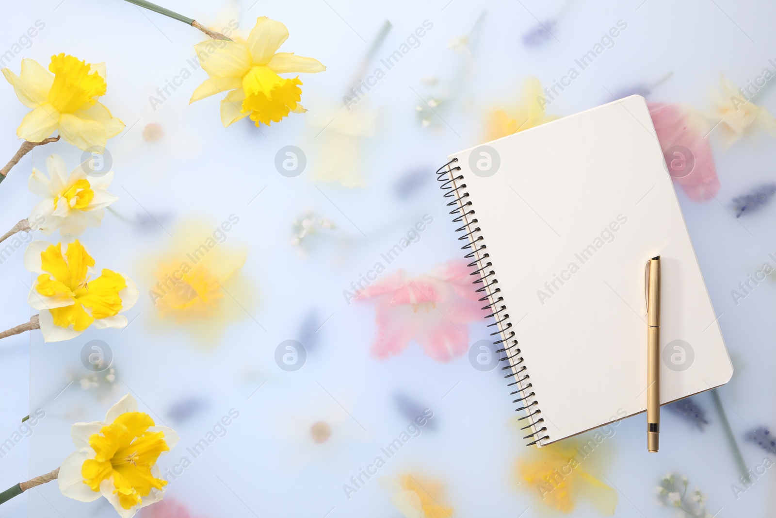 Photo of Guest list. Notebook, pen and daffodils on spring floral background, flat lay. Space for text