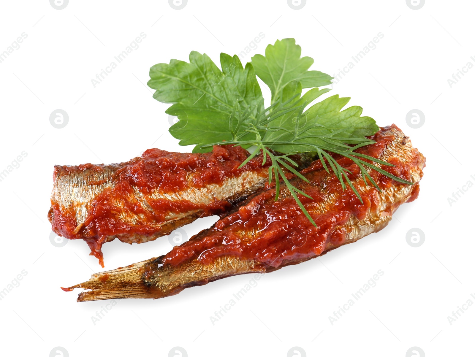 Photo of Tasty canned sprats with tomato sauce, parsley and dill isolated on white