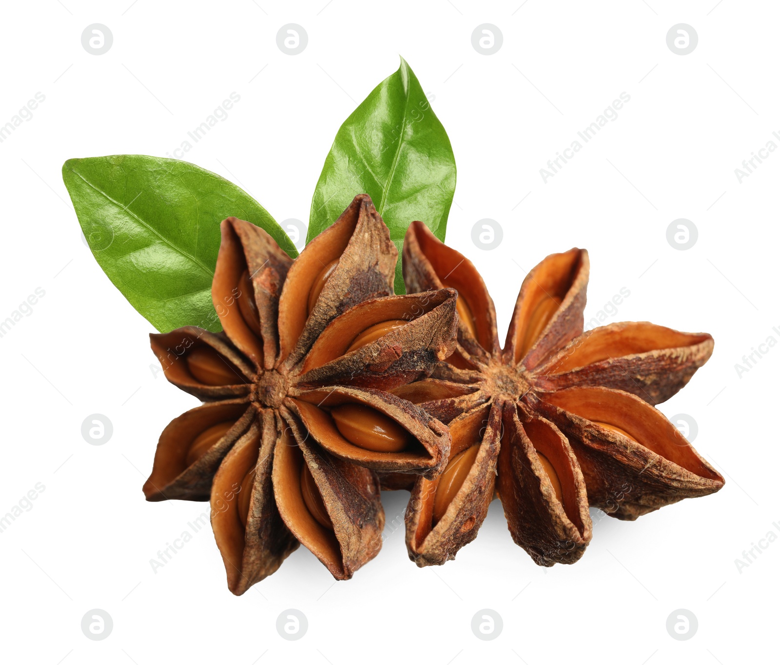 Image of Aromatic dry anise stars and green leaves on white background