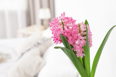 Photo of Beautiful hyacinth on blurred background, space for text. Spring flower