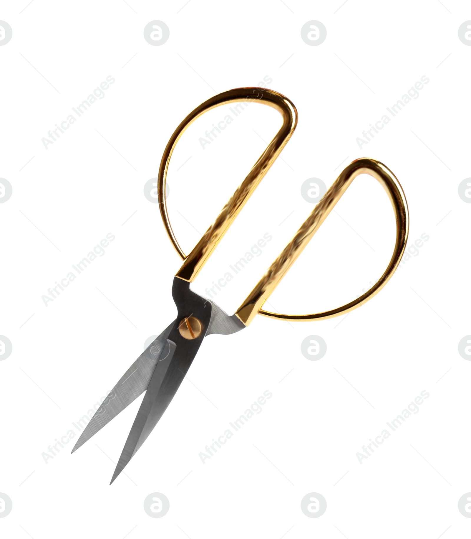 Photo of Pair of sharp sewing scissors on white background