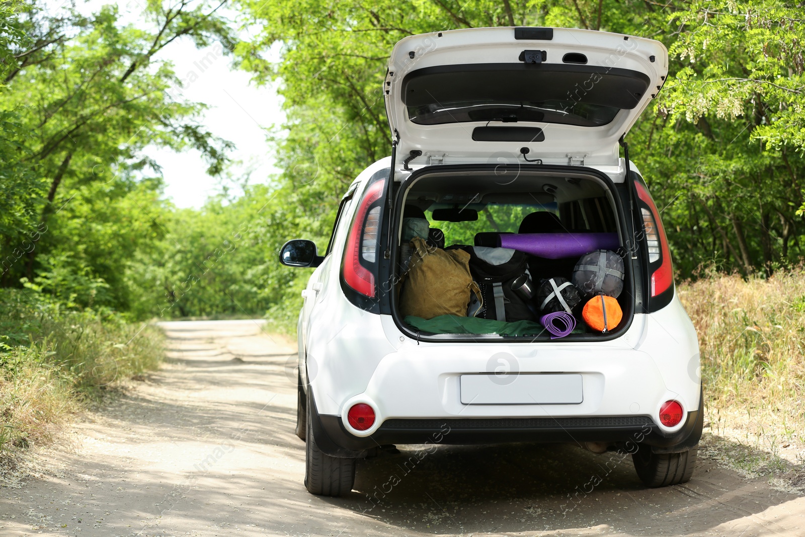 Photo of Car with camping equipment in trunk on forest road. Space for text