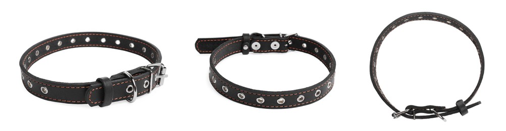 Image of Set with black leather dog collars on white background. Banner design