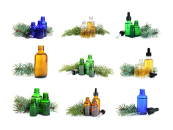 Image of Set with bottles of essential oils and pine branches on white background