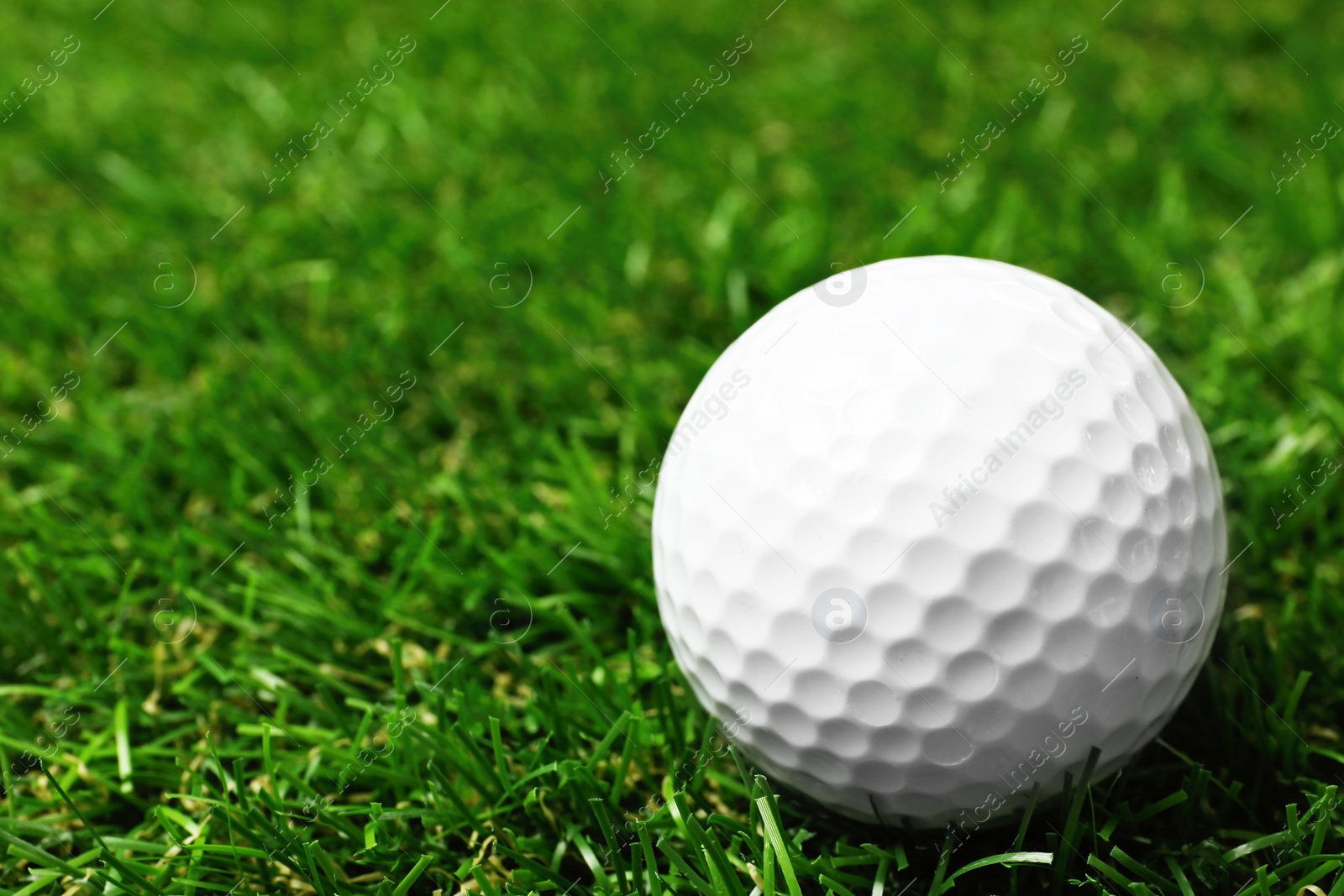 Photo of Golf ball on green course outdoors, closeup. Space for text