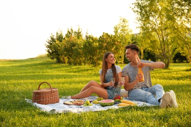 Happy couple having picnic in park on sunny day