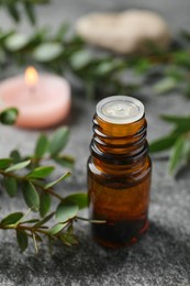 Photo of Bottle of eucalyptus essential oil and plant branches on grey table