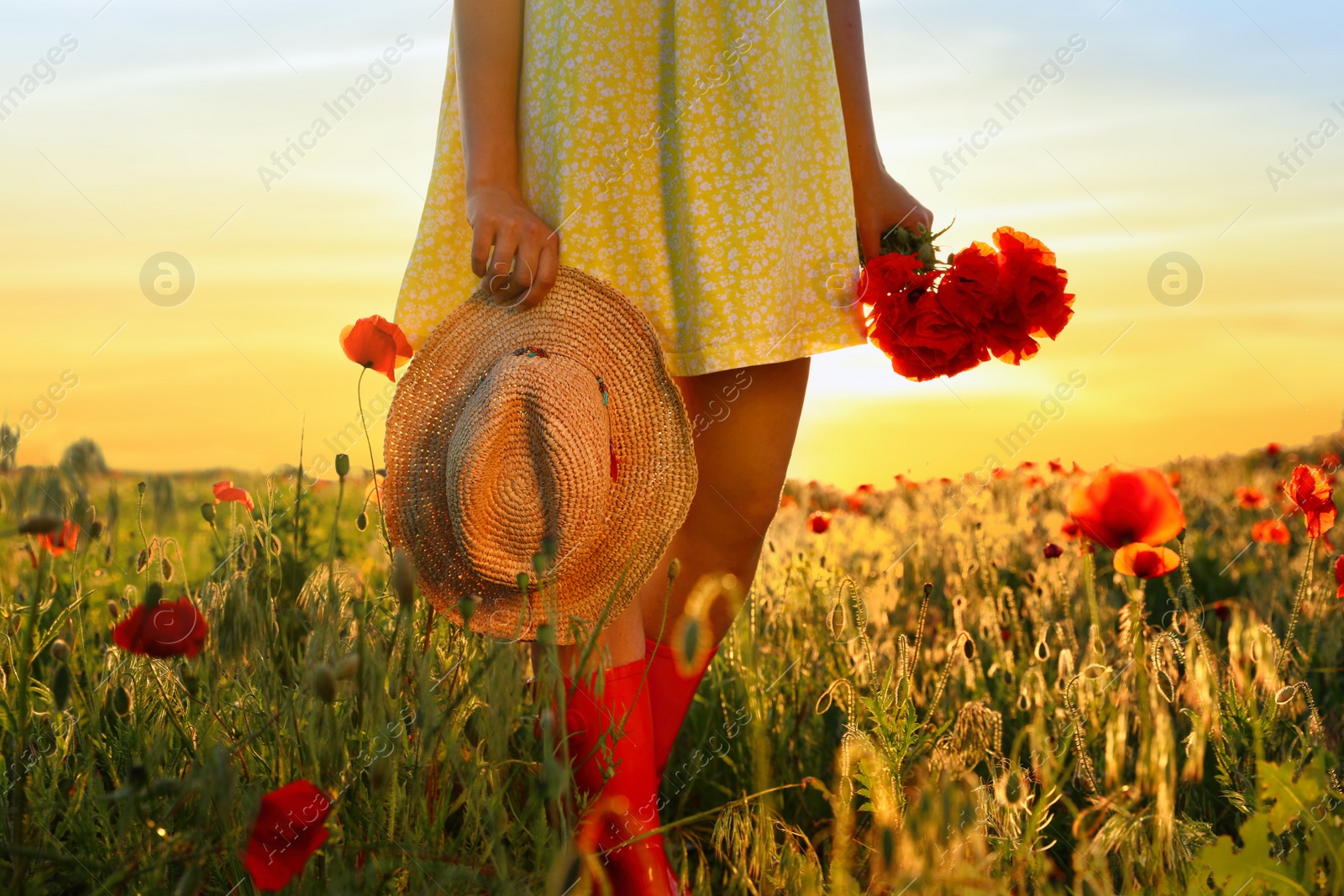 Photo of Woman with straw hat and bouquet of poppies in sunlit field, closeup