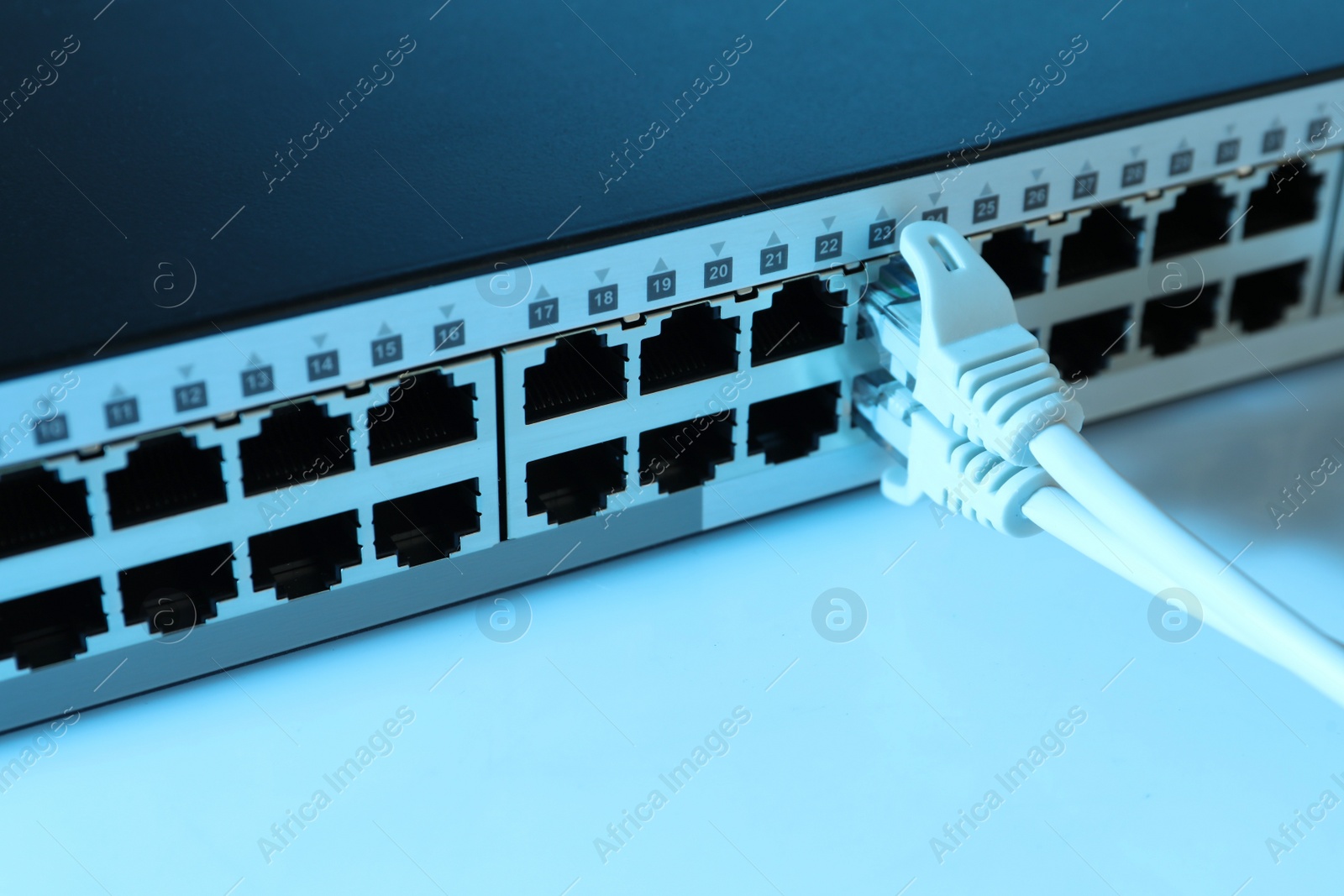 Photo of Closeup view of network switch with cables on light background, toned in blue. Internet connection