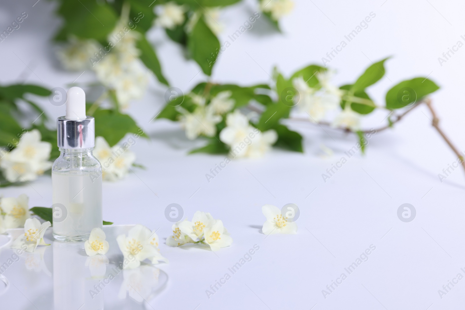 Photo of Essential oil in bottle and beautiful jasmine flowers on white background