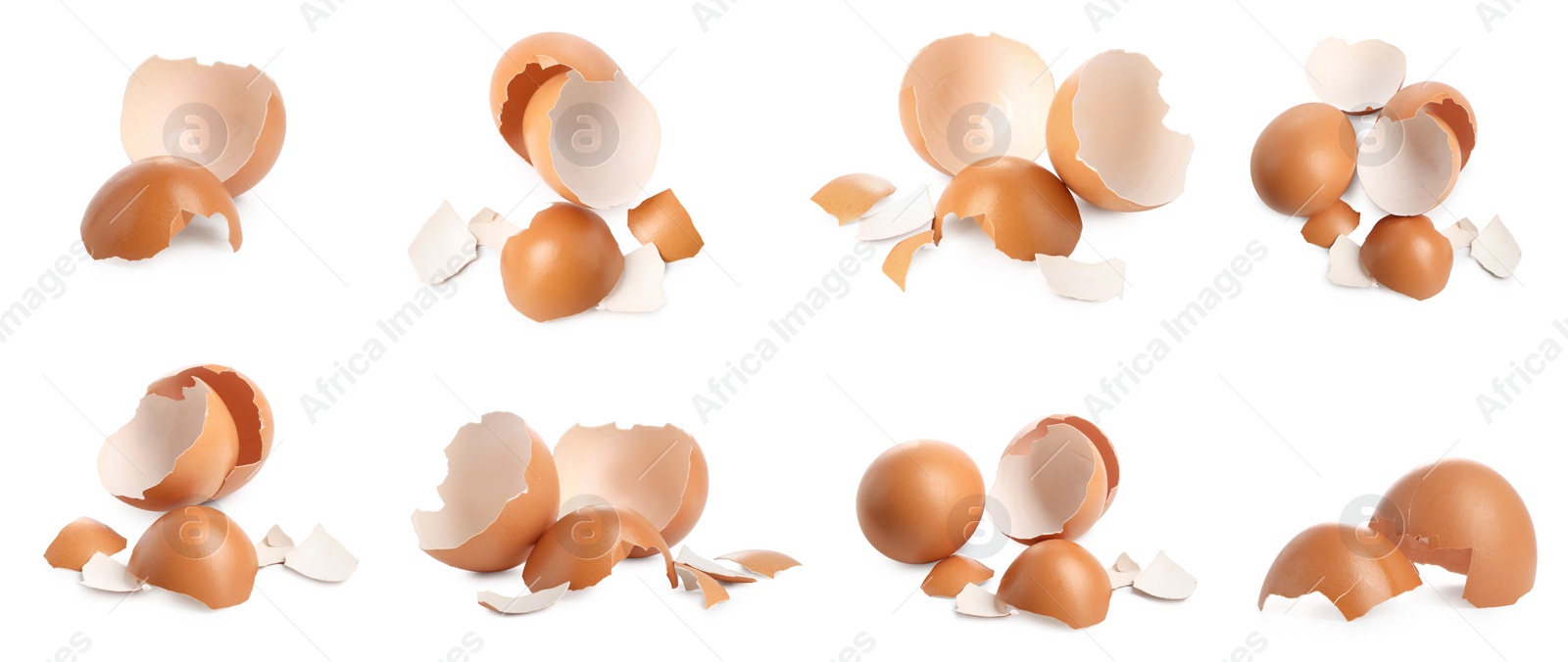 Image of Eggs and cracked shells on white background, set